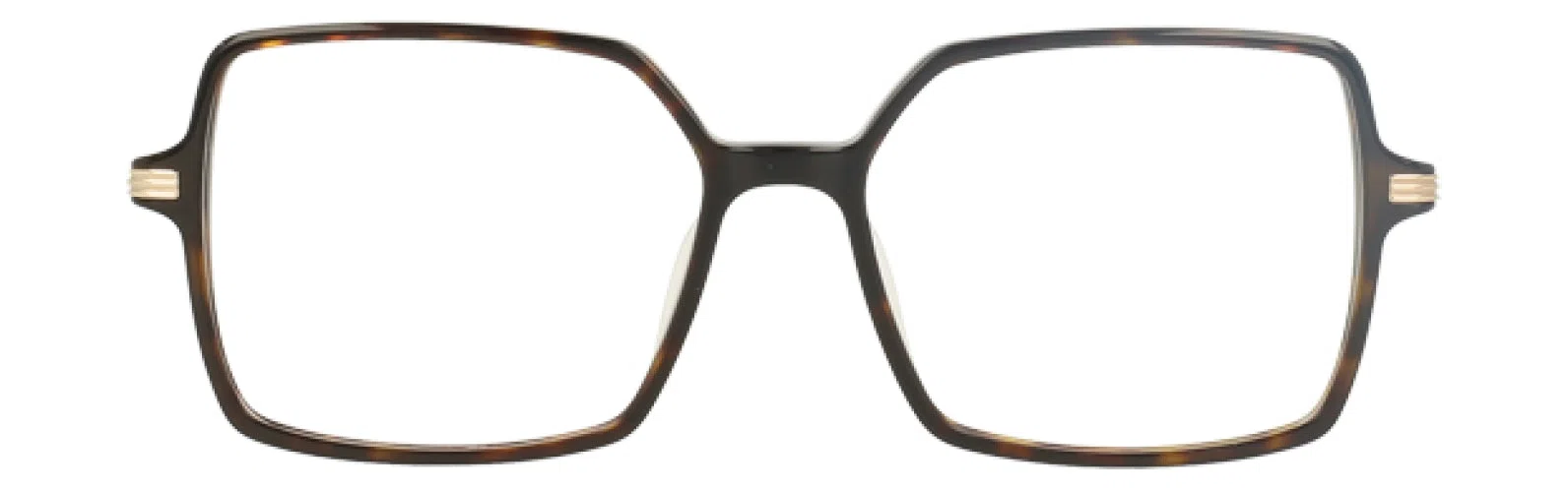 H Halston HH2014 Eyeglasses - Tortoise - view 4